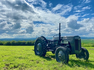 Lot 252 - 1954 FERGUSON TED 20