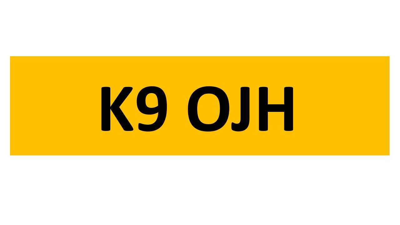 Lot 65 - REGISTRATION ON RETENTION - K9 OJH