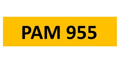 Lot 66-15 - REGISTRATION ON RETENTION - PAM 955