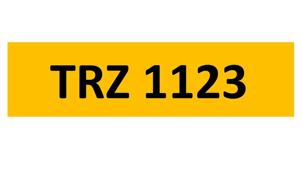 REGISTRATION ON RETENTION - TRZ 1123