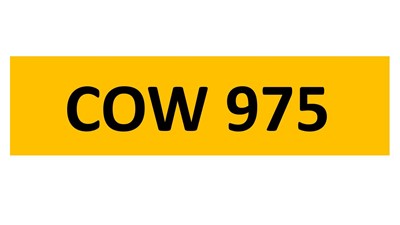 Lot 129-15 - REGISTRATION ON RETENTION - COW 975