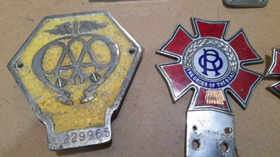 Lot 245 - ASSORTMENT OF CAR BADGES