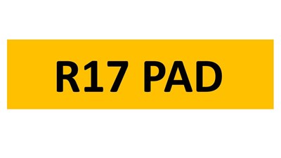 Lot 138-15 - REGISTRATION ON RETENTION - R17 PAD