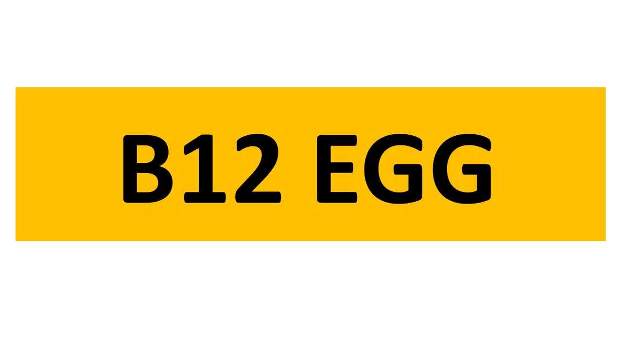Click for high resolution Lot 5 - REGISTRATION ON RETENTION - B12 EGG
