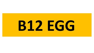 Lot 5-16 - REGISTRATION ON RETENTION - B12 EGG