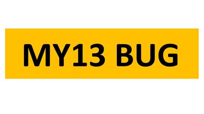 Lot 12-16 - REGISTRATION ON RETENTION - MY13 BUG