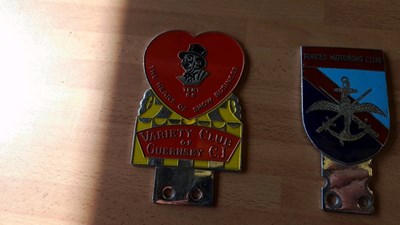 Lot 643 - SELECTION OF CAR BADGES