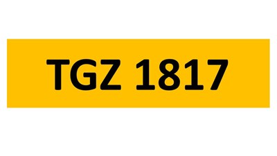 Lot 18-16 - REGISTRATION ON RETENTION - TGZ 1817