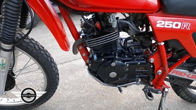 Lot 840 - 1982 HONDA XL250R