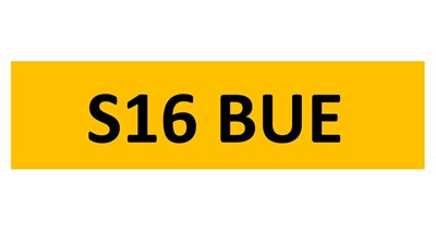 Lot 85-16 - REGISTRATION ON RETENTION - S16 BUE