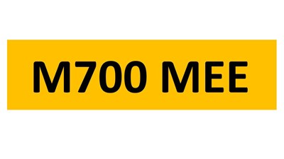 Lot 87-16 - REGISTRATION ON RETENTION - M700 MEE