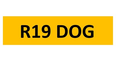 Lot 92-16 - REGISTRATION ON RETENTION - R19 DOG