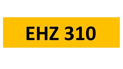 Lot 21-17 - REGISTRATION ON RETENTION - EHZ 310