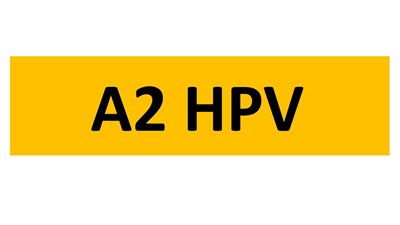 Lot 22-17 - REGISTRATION ON RETENTION - A2 HPV