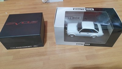 Lot 507 - FORD EVOS CONCEPT DEALER LAUNCH GIFT + 1.24 SCALE MODEL OF MK2 FORD ESCORT