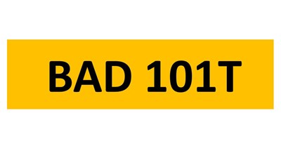 Lot 25-18 - REGISTRATION ON RETENTION - BAD 101T