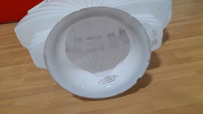 Lot 313 - SHELL GLASS GLOBE