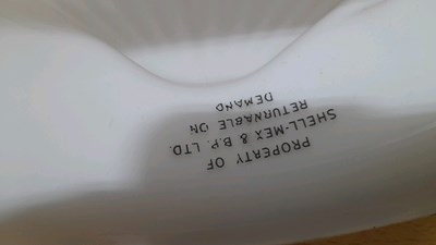 Lot 313 - SHELL GLASS GLOBE