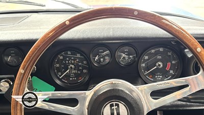Lot 304 - 1970 RELIANT