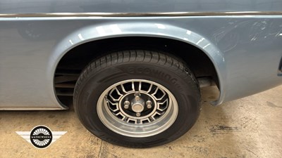 Lot 304 - 1970 RELIANT