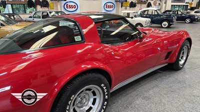 Lot 672 - 1981 CORVETTE