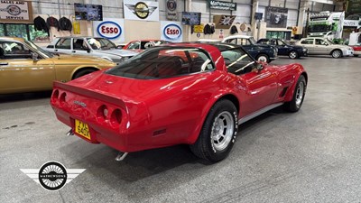 Lot 672 - 1981 CORVETTE