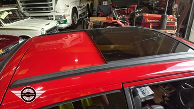 Lot 824 - 1991 PEUGEOT 205 GTI