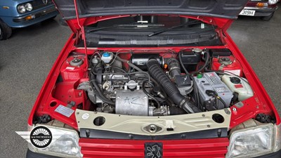 Lot 824 - 1991 PEUGEOT 205 GTI