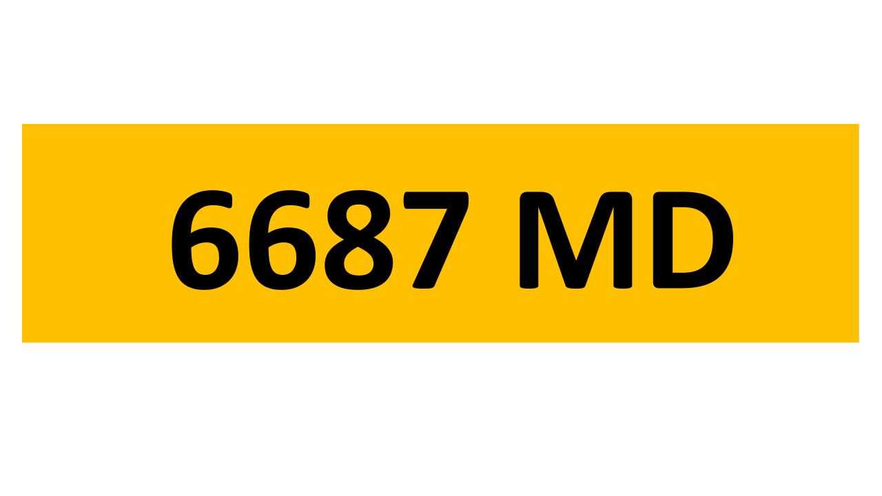 REGISTRATION ON RETENTION - 6687 MD