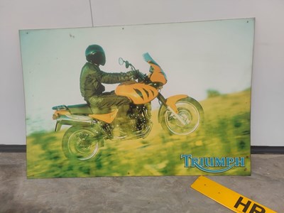 Lot 175 - GENUINE TRIUMPH TIGER DEALERSHIP RIDGED POSTER 31" X 48"