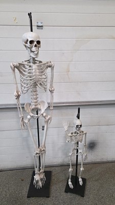 Lot 799 - PAIR OF PLASTIC SKELETONS ON STANDS