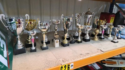 Lot 511 - LARGE SELECTION OF TROPHIES
