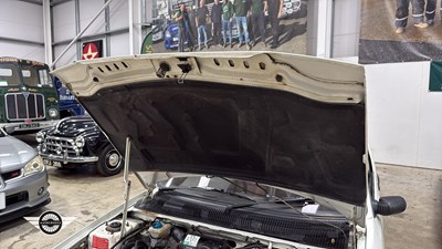 Lot 592 - 1991 PEUGEOT 205 GTI