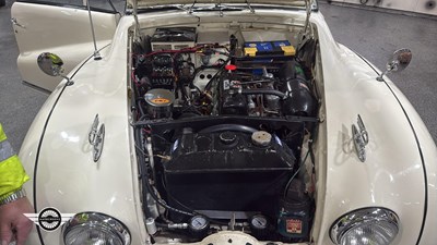 Lot 888 - 1950 AUSTIN A90 ATLANTIC CONVERTIBLE