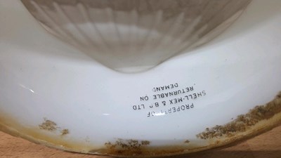 Lot 13 - SHELL GLASS GLOBE