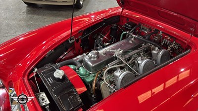 Lot 356 - 1961 AUSTIN HEALEY