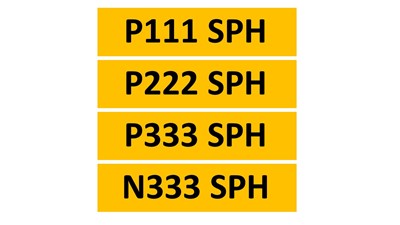 Lot 306 - REGISTRATIONS ON RETENTION - P111 SPH, P222 SPH, P333 SPH, N333 SPH