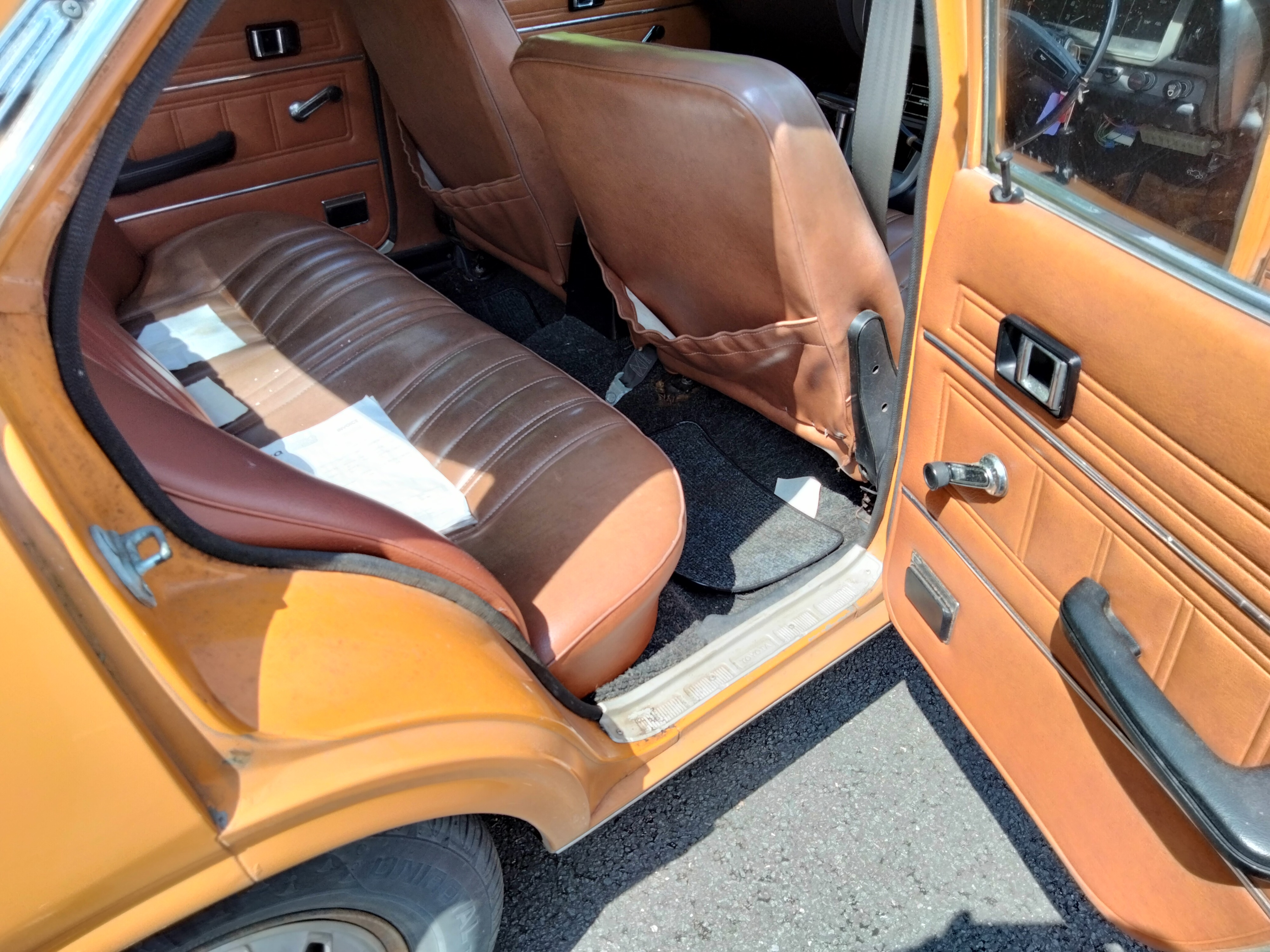 5593-2.jpg?v=63792115647070