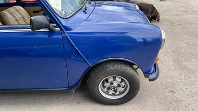 Lot 495 - 1982 AUSTIN MORRIS MINI HL