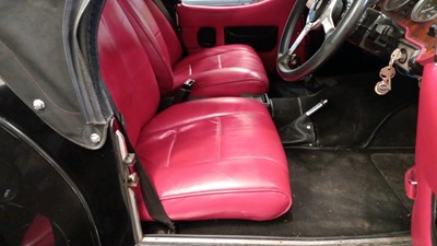 Lot 553 - 1975 PANTHER