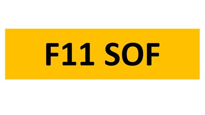 Lot 100 - REGISTRATION ON RETENTION - F11 SOF
