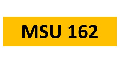 Lot 181 - REGISTRATION ON RETENTION - MSU 162