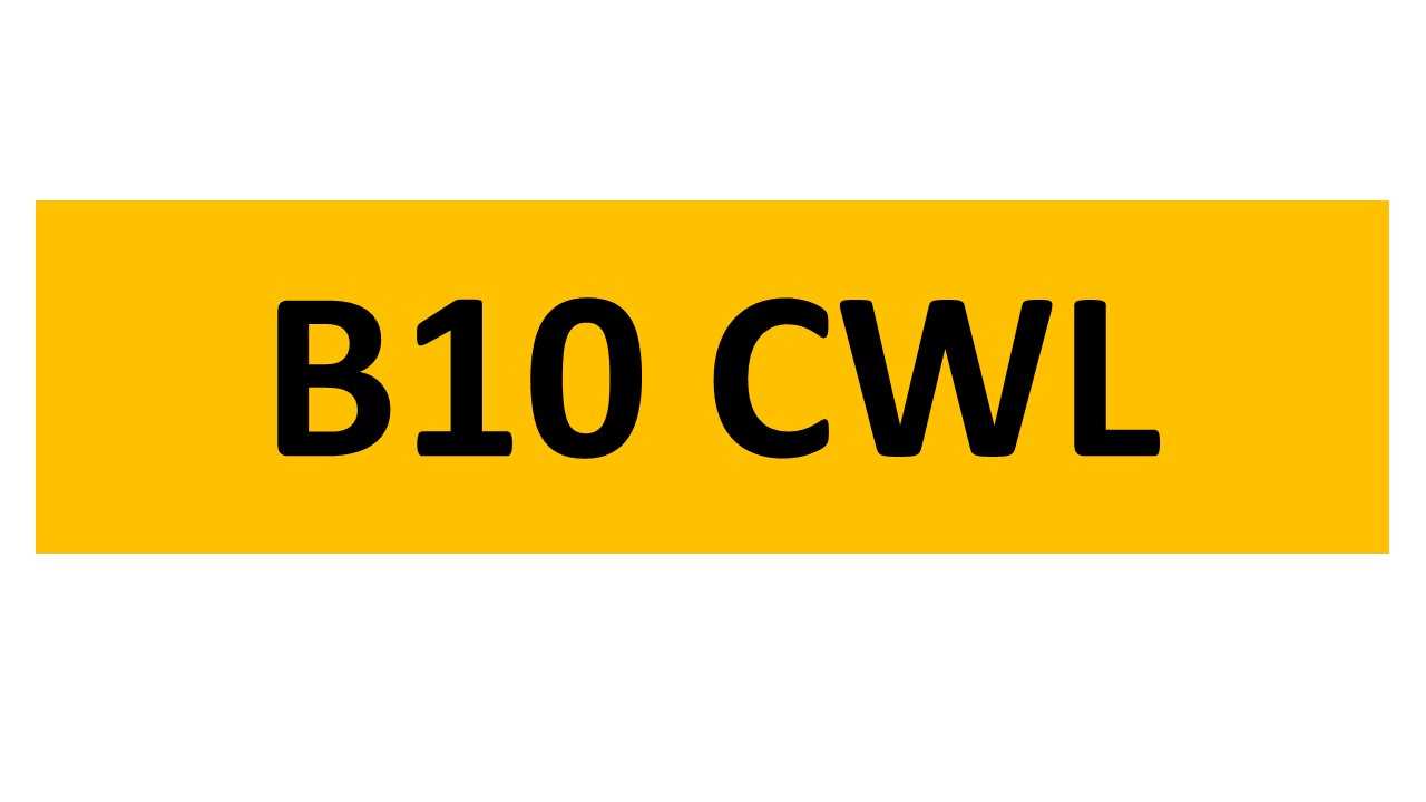 Lot 206 - REGISTRATION ON RETENTION - B10 CWL