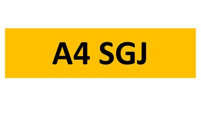 Lot 201-3 - REGISTRATION ON RETENTION - A4 SGJ