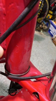 Lot 557 - MONTESA COTA 247