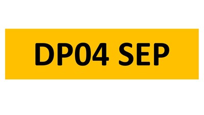 Lot 220 - REGISTRATION ON RETENTION - DP04 SEP
