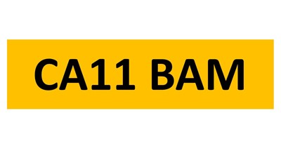Lot 221 - REGISTRATION ON RETENTION - CA11 BAM
