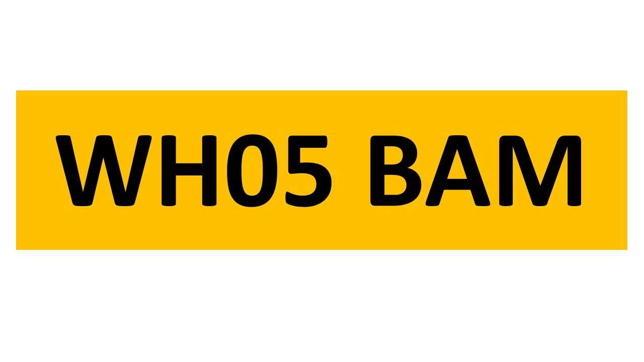Lot 16 - REGISTRATION ON RETENTION - WH05 BAM