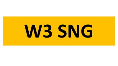 Lot 17 - REGISTRATION ON RETENTION - W3 SNG