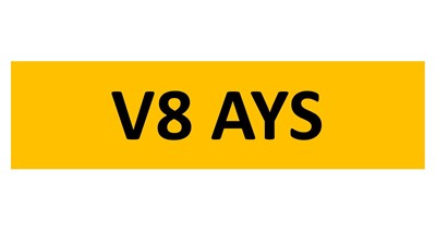Lot 163-3 - REGISTRATION ON RETENTION - V8 AYS
